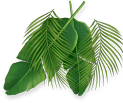 about_leaf
